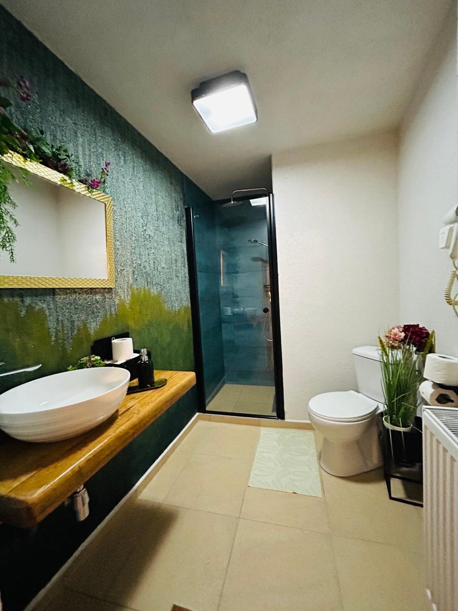T4House Daire Sighişoara Dış mekan fotoğraf